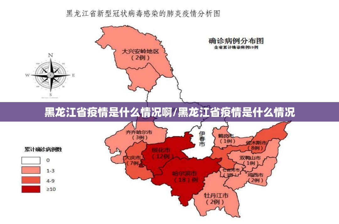 黑龙江省疫情是什么情况啊/黑龙江省疫情是什么情况