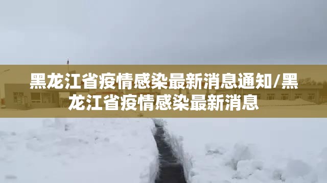 黑龙江省疫情感染最新消息通知/黑龙江省疫情感染最新消息