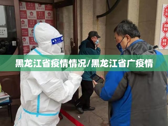 黑龙江省疫情情况/黑龙江省广疫情
