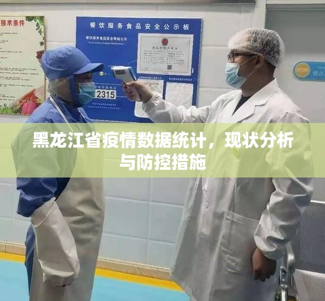 黑龙江省疫情数据统计，现状分析与防控措施
