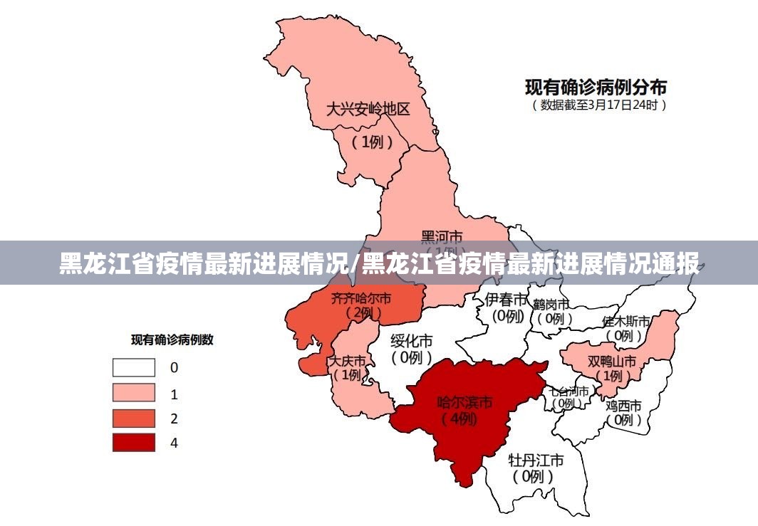黑龙江省疫情最新进展情况/黑龙江省疫情最新进展情况通报