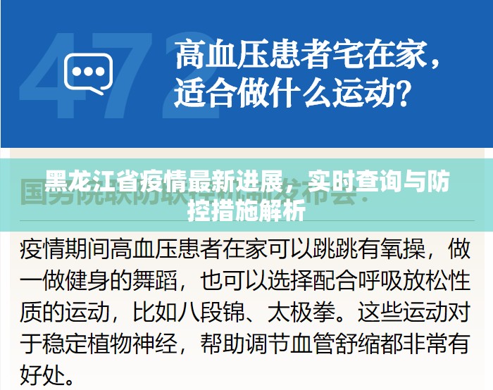 黑龙江省疫情最新进展，实时查询与防控措施解析