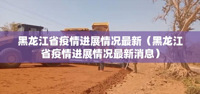 黑龙江省疫情进展情况最新（黑龙江省疫情进展情况最新消息）