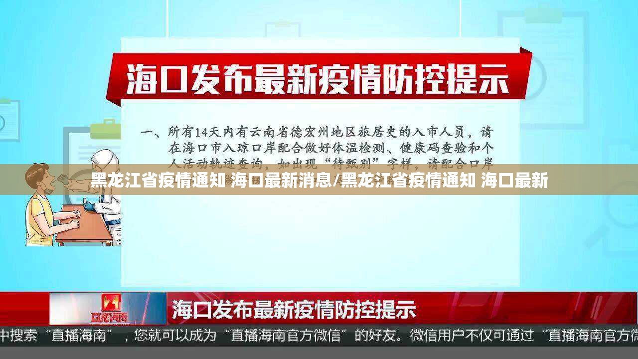 黑龙江省疫情通知 海口最新消息/黑龙江省疫情通知 海口最新