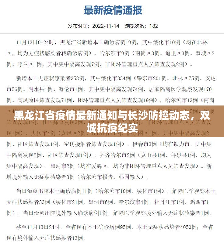 黑龙江省疫情最新通知与长沙防控动态，双城抗疫纪实