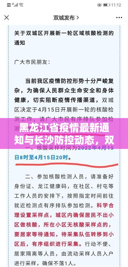 黑龙江省疫情最新通知与长沙防控动态，双城抗疫纪实