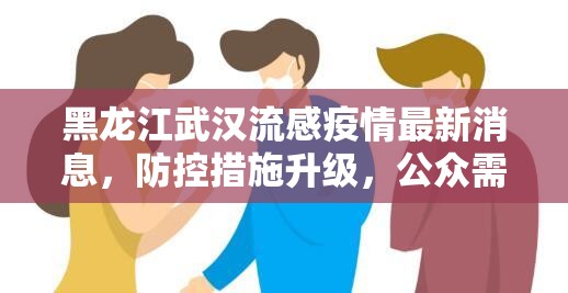 黑龙江武汉流感疫情最新消息，防控措施升级，公众需加强防护