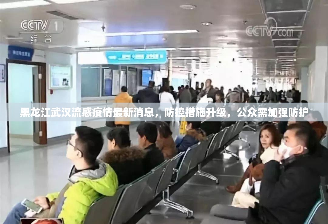 黑龙江武汉流感疫情最新消息，防控措施升级，公众需加强防护