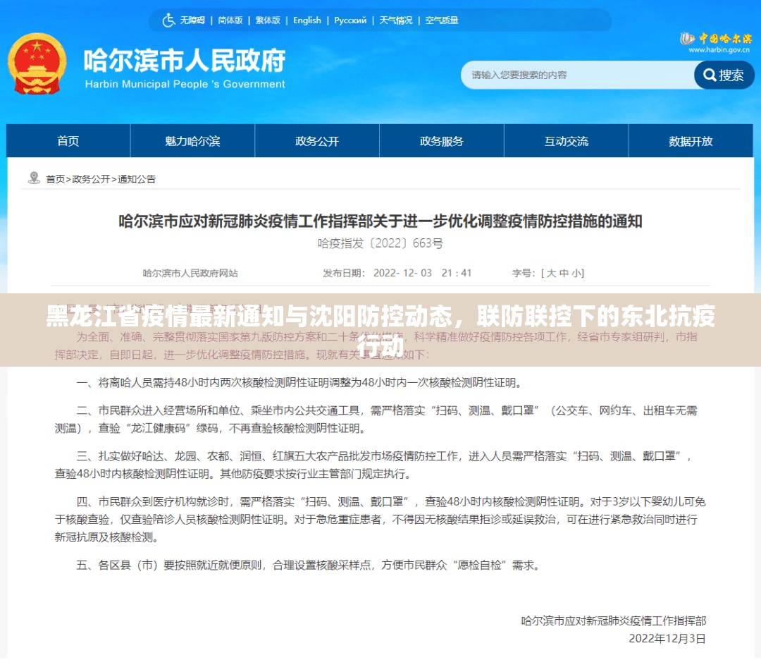 黑龙江省疫情最新通知与沈阳防控动态，联防联控下的东北抗疫行动