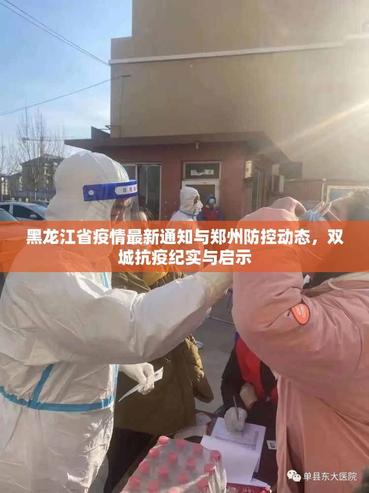 黑龙江省疫情最新通知与郑州防控动态，双城抗疫纪实与启示