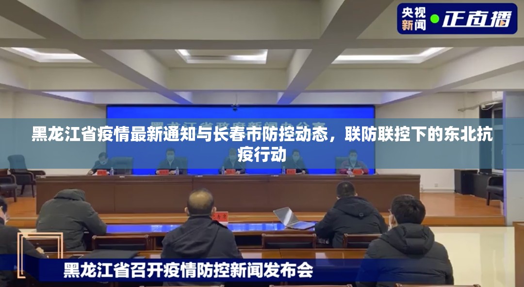黑龙江省疫情最新通知与长春市防控动态，联防联控下的东北抗疫行动