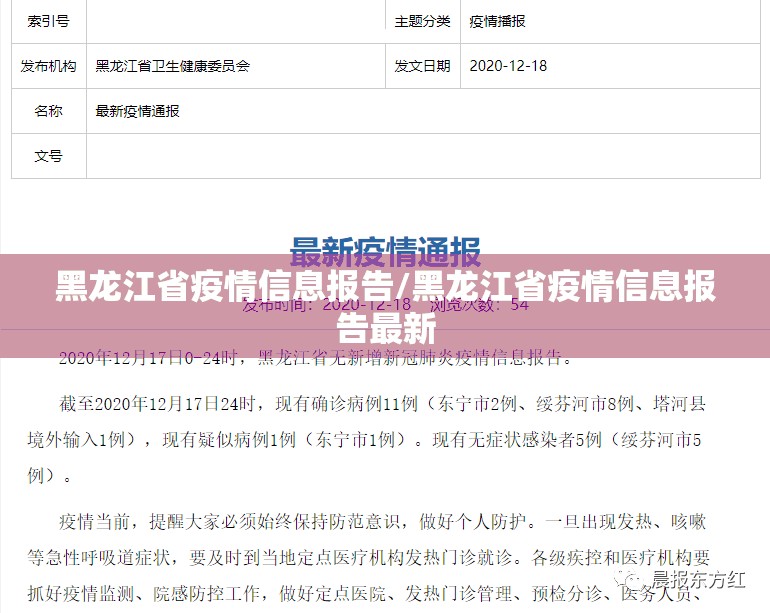 黑龙江省疫情信息报告/黑龙江省疫情信息报告最新