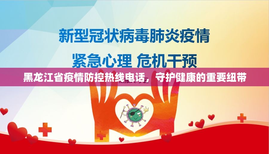 黑龙江省疫情防控热线电话，守护健康的重要纽带
