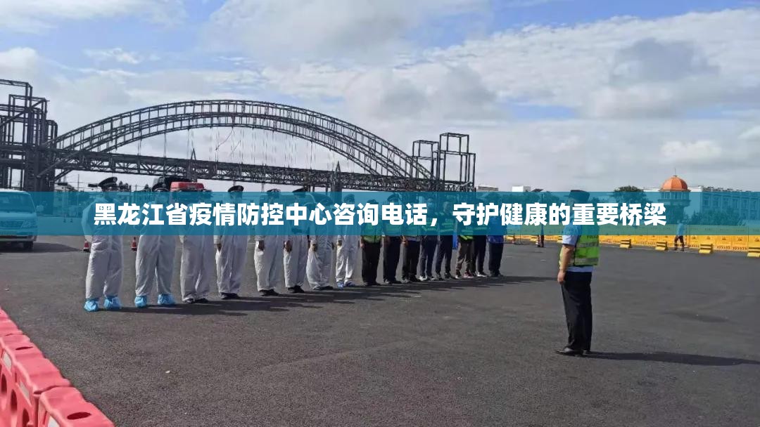 黑龙江省疫情防控中心咨询电话，守护健康的重要桥梁