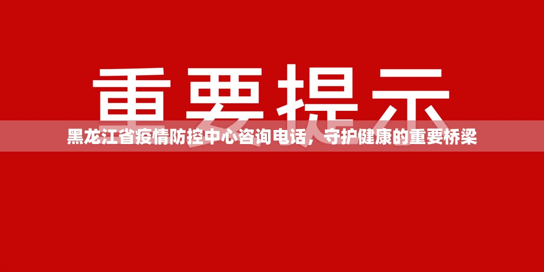 黑龙江省疫情防控中心咨询电话，守护健康的重要桥梁