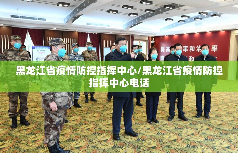 黑龙江省疫情防控指挥中心/黑龙江省疫情防控指挥中心电话