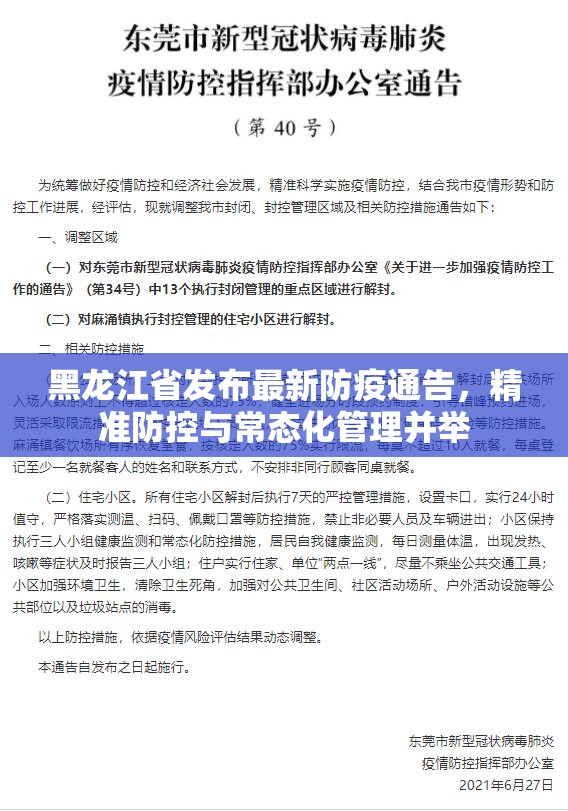 黑龙江省发布最新防疫通告，精准防控与常态化管理并举