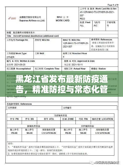 黑龙江省发布最新防疫通告，精准防控与常态化管理并举