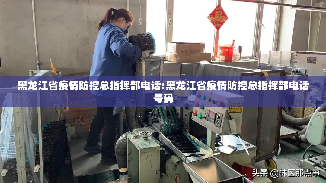 黑龙江省疫情防控总指挥部电话:黑龙江省疫情防控总指挥部电话号码