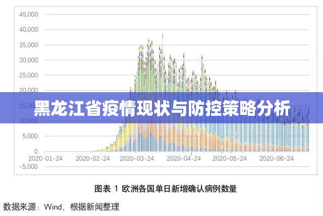 黑龙江省疫情现状与防控策略分析