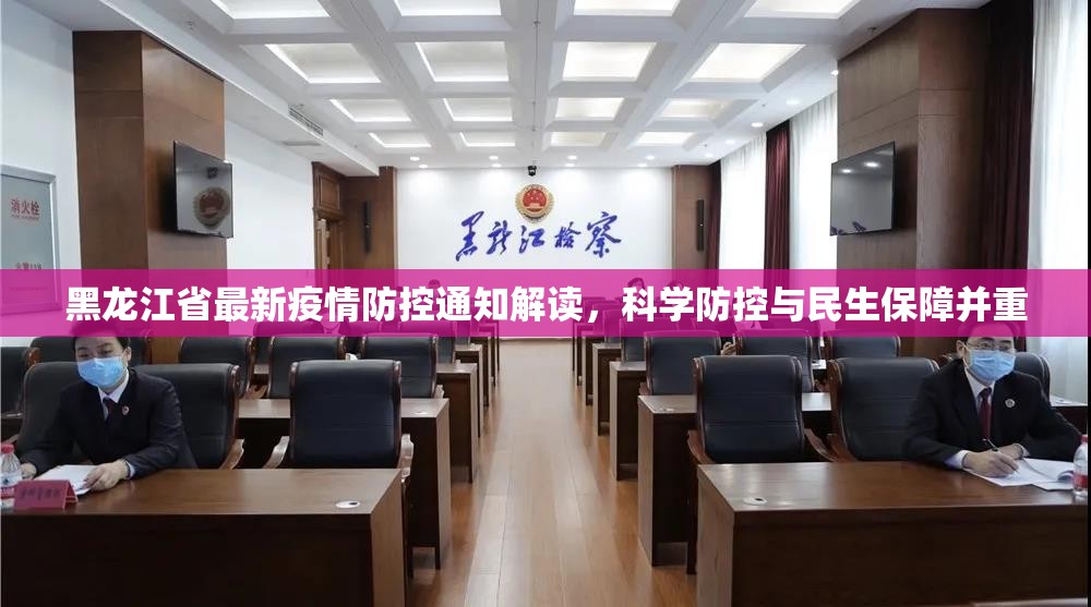 黑龙江省最新疫情防控通知解读，科学防控与民生保障并重