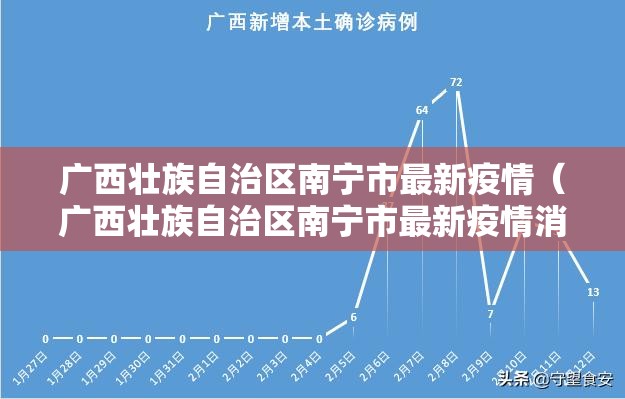 广西壮族自治区南宁市最新疫情（广西壮族自治区南宁市最新疫情消息）