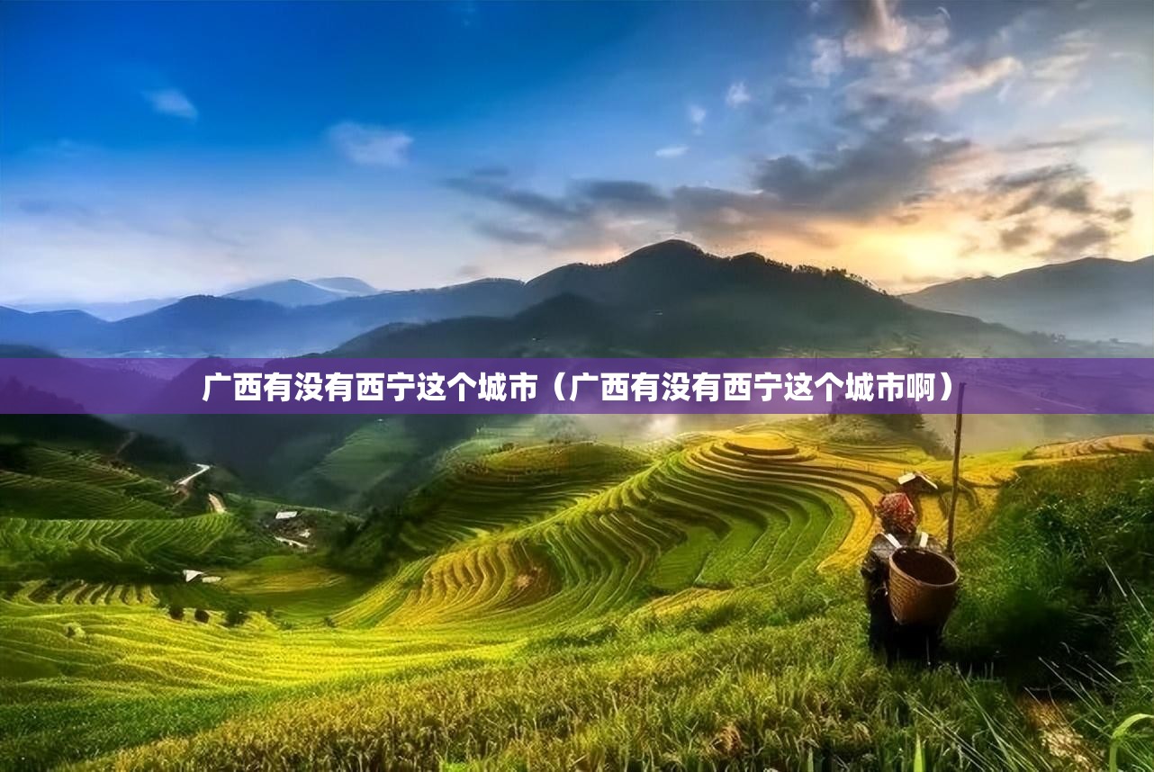 广西有没有西宁这个城市（广西有没有西宁这个城市啊）