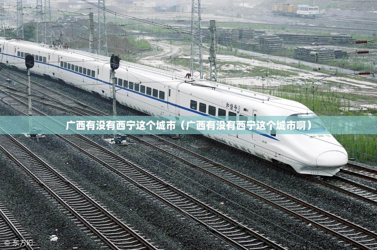 广西有没有西宁这个城市（广西有没有西宁这个城市啊）