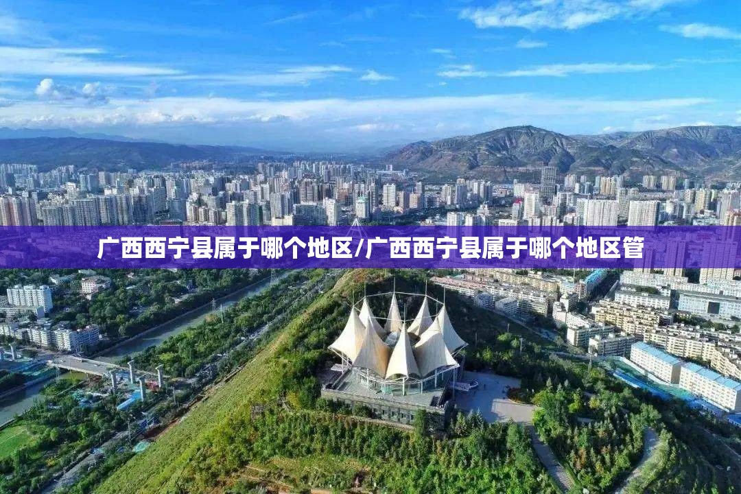 广西西宁县属于哪个地区/广西西宁县属于哪个地区管