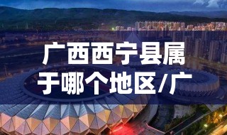 广西西宁县属于哪个地区/广西西宁县属于哪个地区管