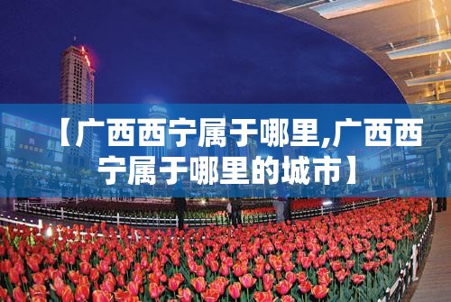 【广西西宁属于哪里,广西西宁属于哪里的城市】