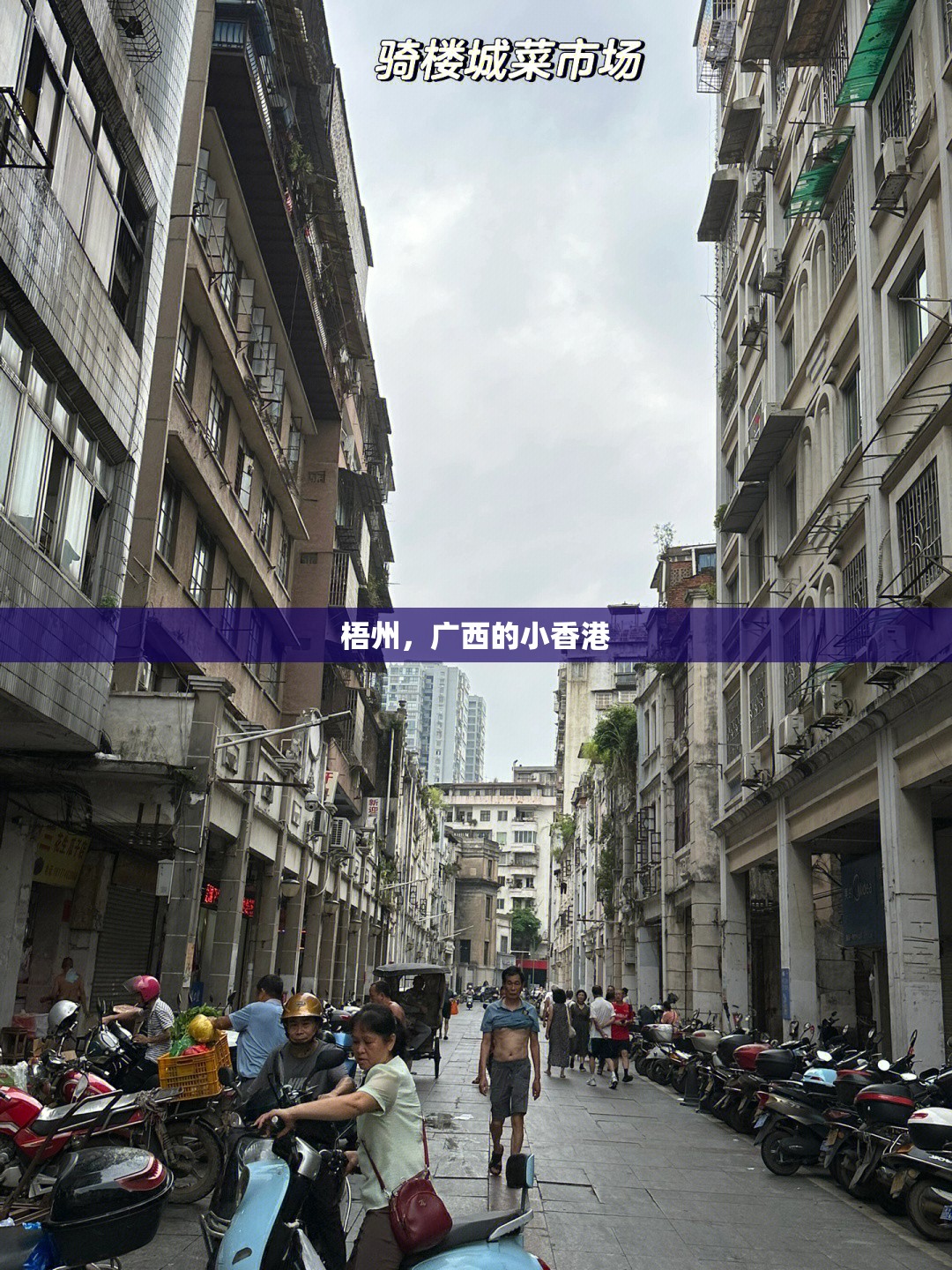 天津村委会电话号码/天津村委会电话