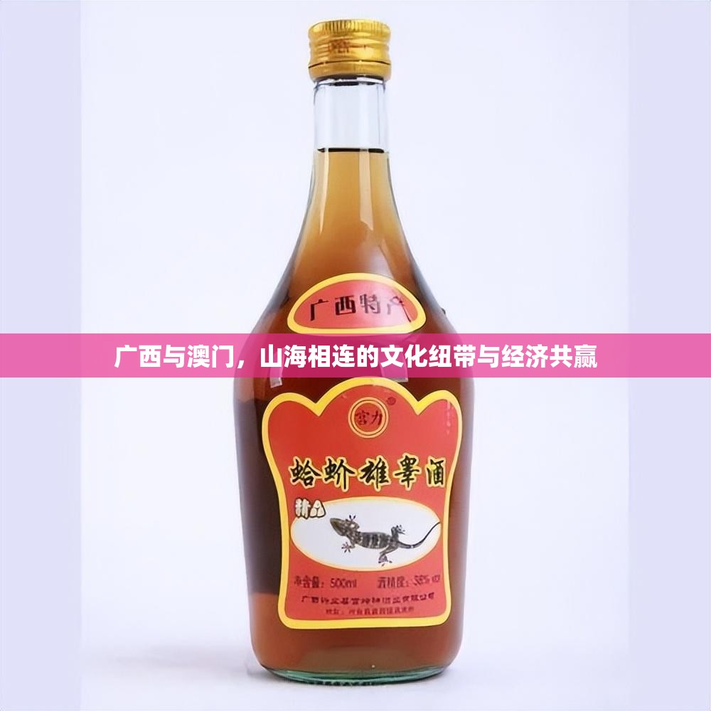 广西与澳门，山海相连的文化纽带与经济共赢