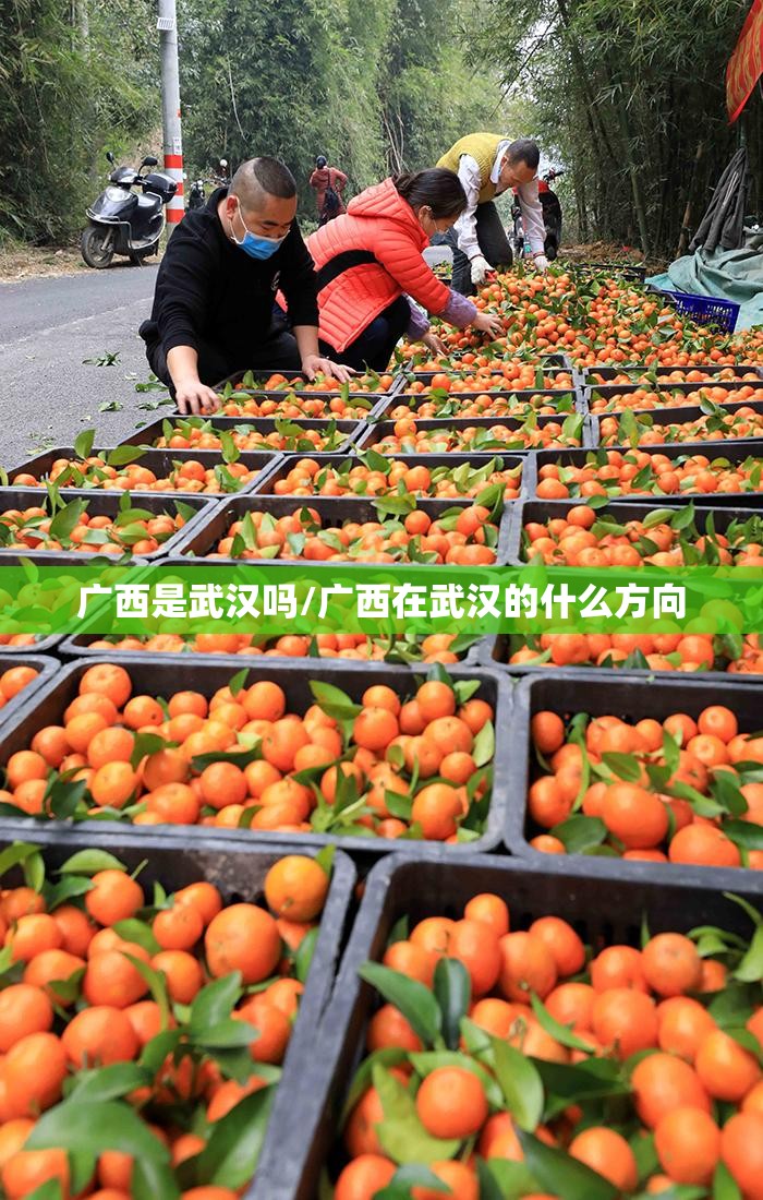 广西是武汉吗/广西在武汉的什么方向