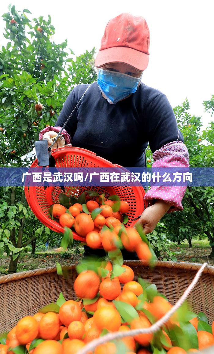 广西是武汉吗/广西在武汉的什么方向