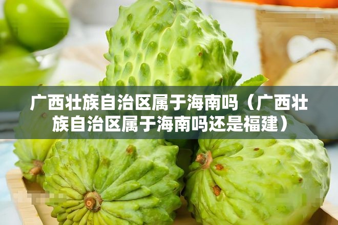 广西壮族自治区属于海南吗（广西壮族自治区属于海南吗还是福建）