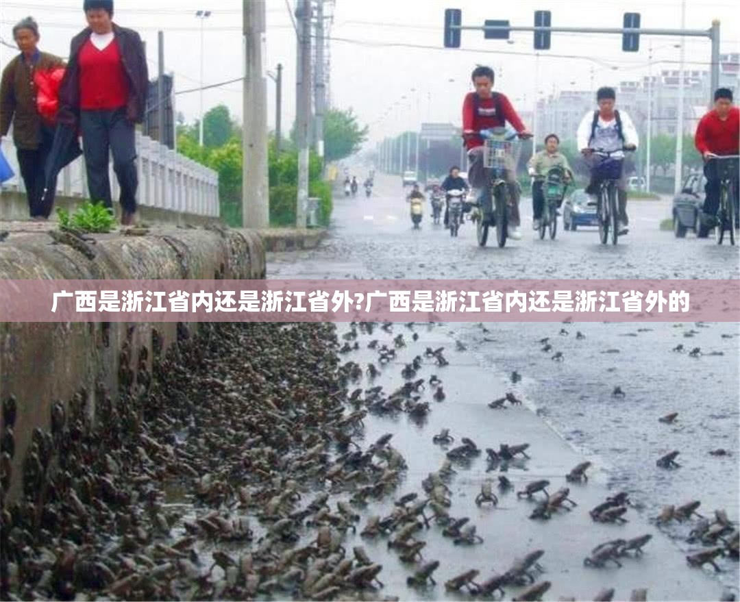 广西是浙江省内还是浙江省外?广西是浙江省内还是浙江省外的