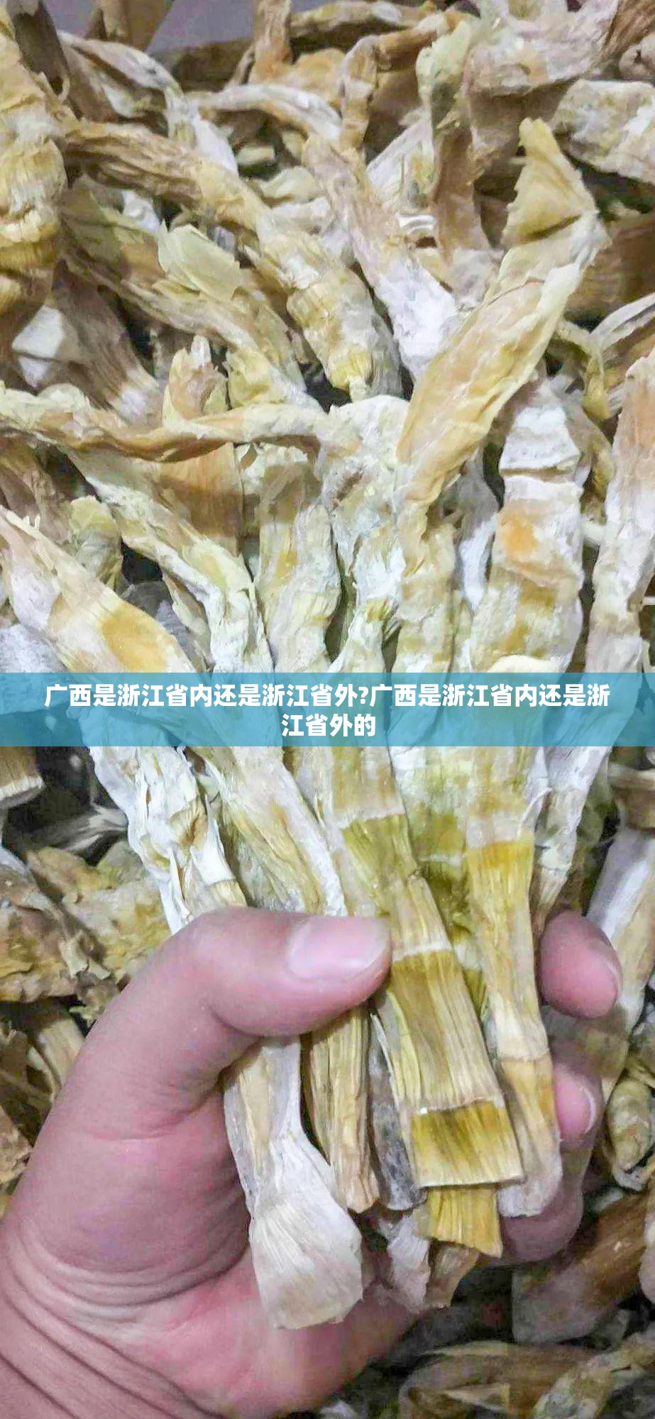 广西是浙江省内还是浙江省外?广西是浙江省内还是浙江省外的
