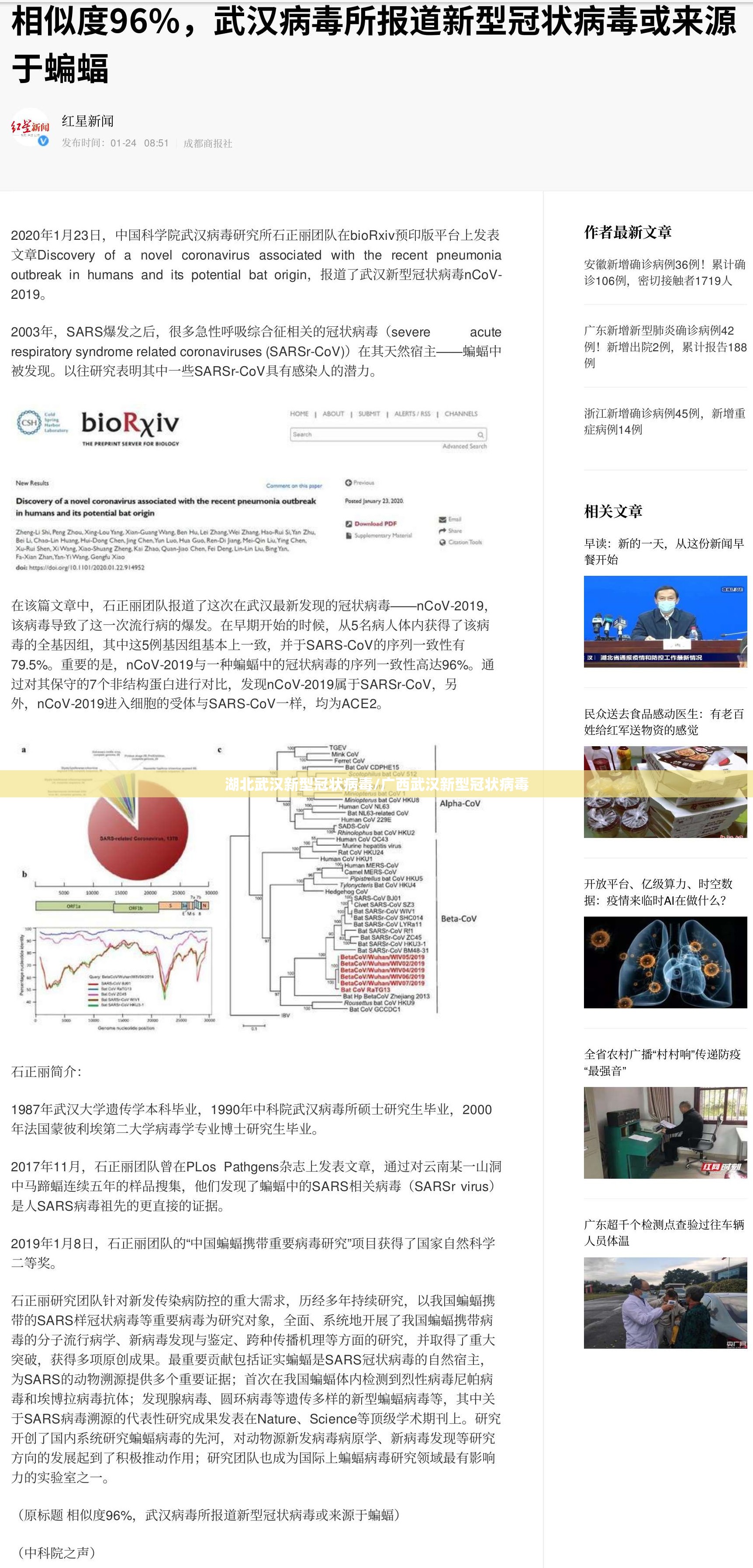 湖北武汉新型冠状病毒/广西武汉新型冠状病毒