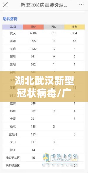 湖北武汉新型冠状病毒/广西武汉新型冠状病毒