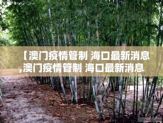 【澳门疫情管制 海口最新消息,澳门疫情管制 海口最新消息查询】