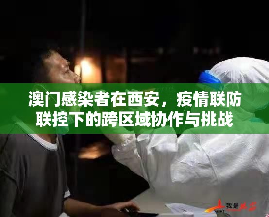 澳门感染者在西安，疫情联防联控下的跨区域协作与挑战