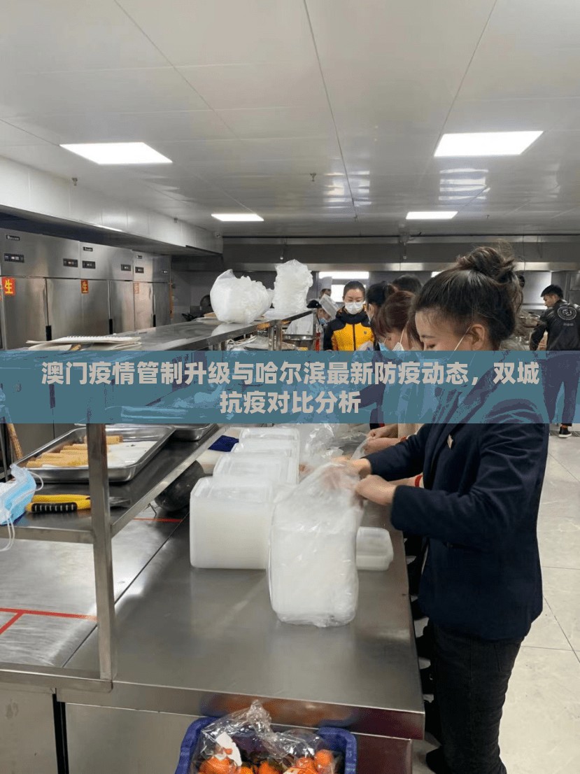 澳门疫情管制升级与哈尔滨最新防疫动态，双城抗疫对比分析