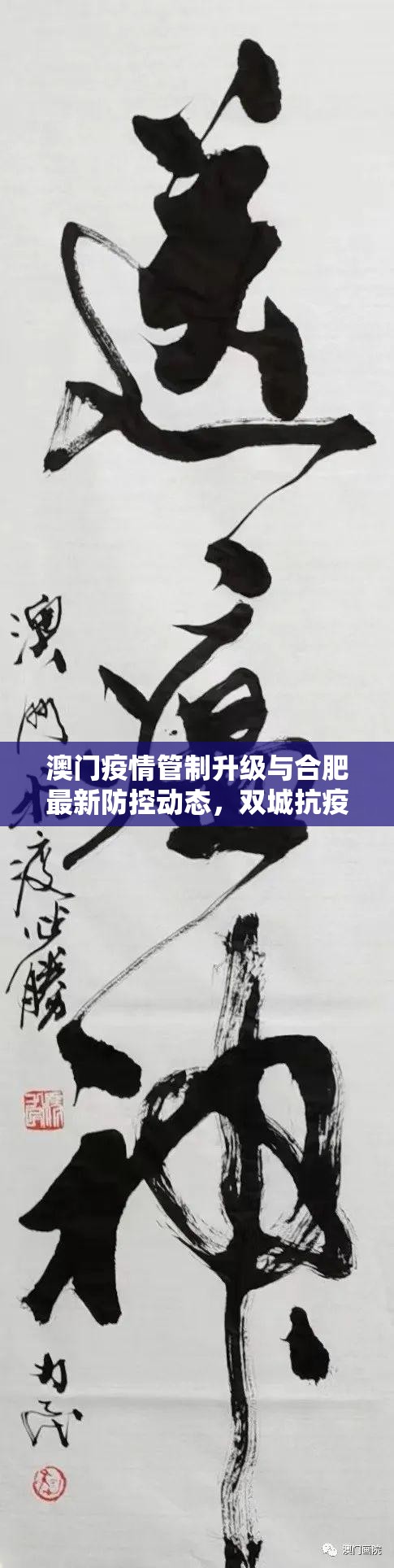 澳门疫情管制升级与合肥最新防控动态，双城抗疫策略对比分析