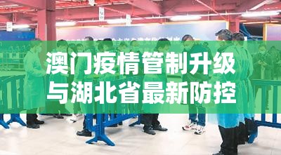 澳门疫情管制升级与湖北省最新防控动态，双城抗疫对比分析