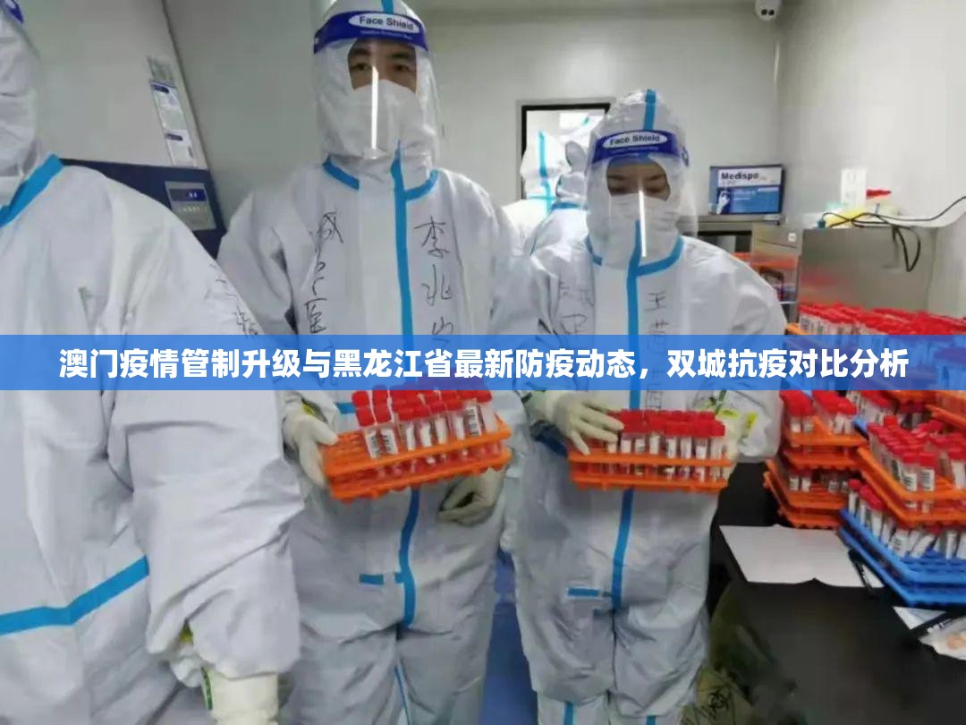 澳门疫情管制升级与黑龙江省最新防疫动态，双城抗疫对比分析