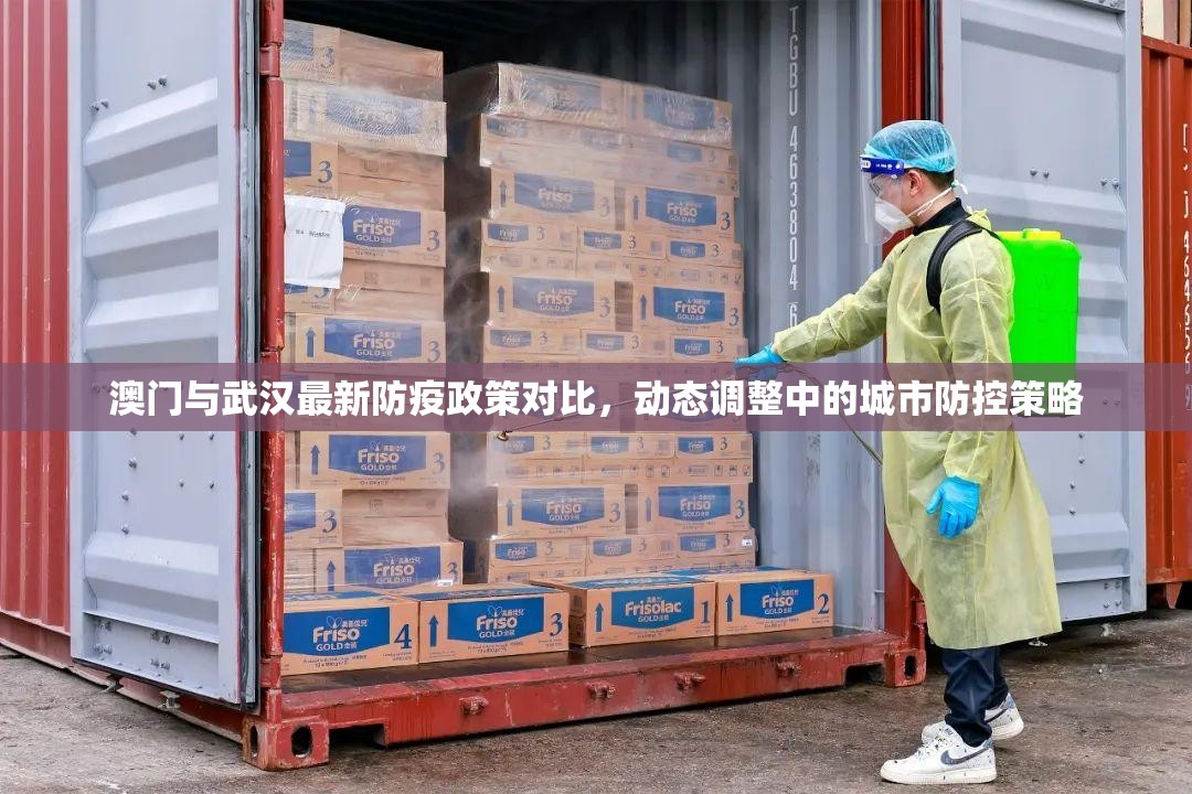 澳门与武汉最新防疫政策对比，动态调整中的城市防控策略