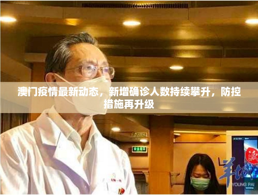 澳门疫情最新动态，新增确诊人数持续攀升，防控措施再升级