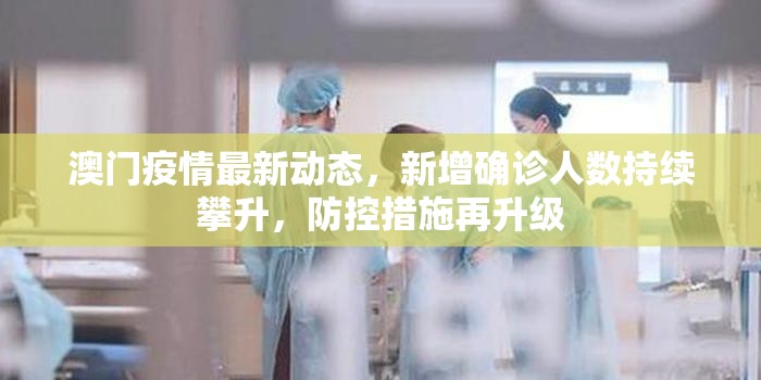澳门疫情最新动态，新增确诊人数持续攀升，防控措施再升级