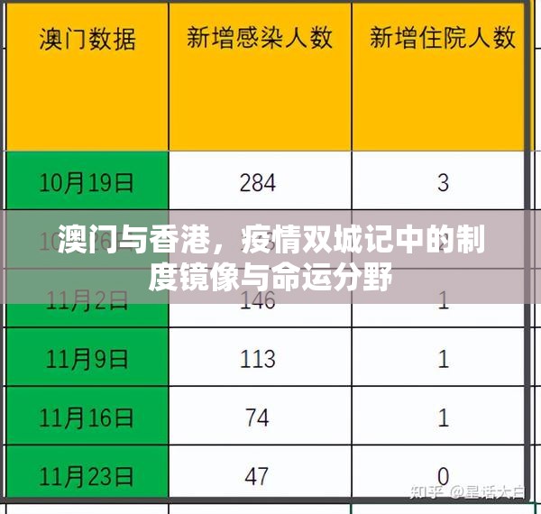 澳门与香港，疫情双城记中的制度镜像与命运分野